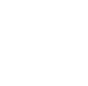 Passgenau Icon weiß